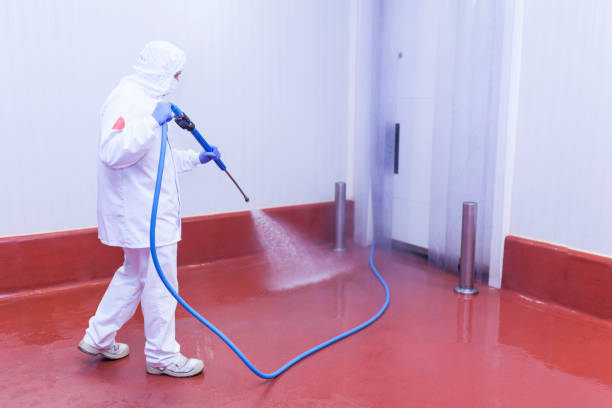 Reliable Perryman, MD Pressure Washing Services Solutions